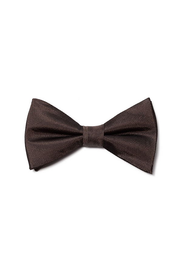 咖啡色丝绸领结